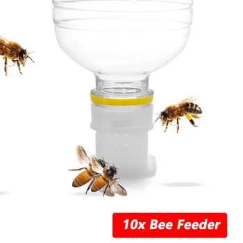 10шт Кормушки для пчел Инструменты для питьевой воды для медоносных пчел, оборудование для полива пчел, пластиковые принадлежности для пчеловодства